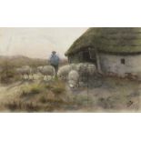 Cox, Peter, boer met zijn schapen