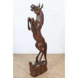 Coromandel sculptuur van steigerd paard