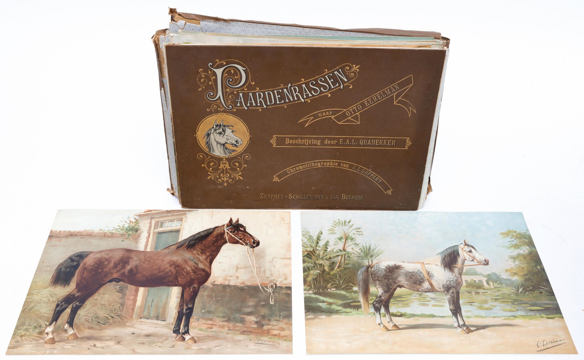 Paardenrassen. Kunstalbum van een en veertig afbeeldingen naar schilderijen van Otto Eerelman met be - Bild 2 aus 4