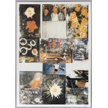 Robert Rauschenberg (1925-2008)