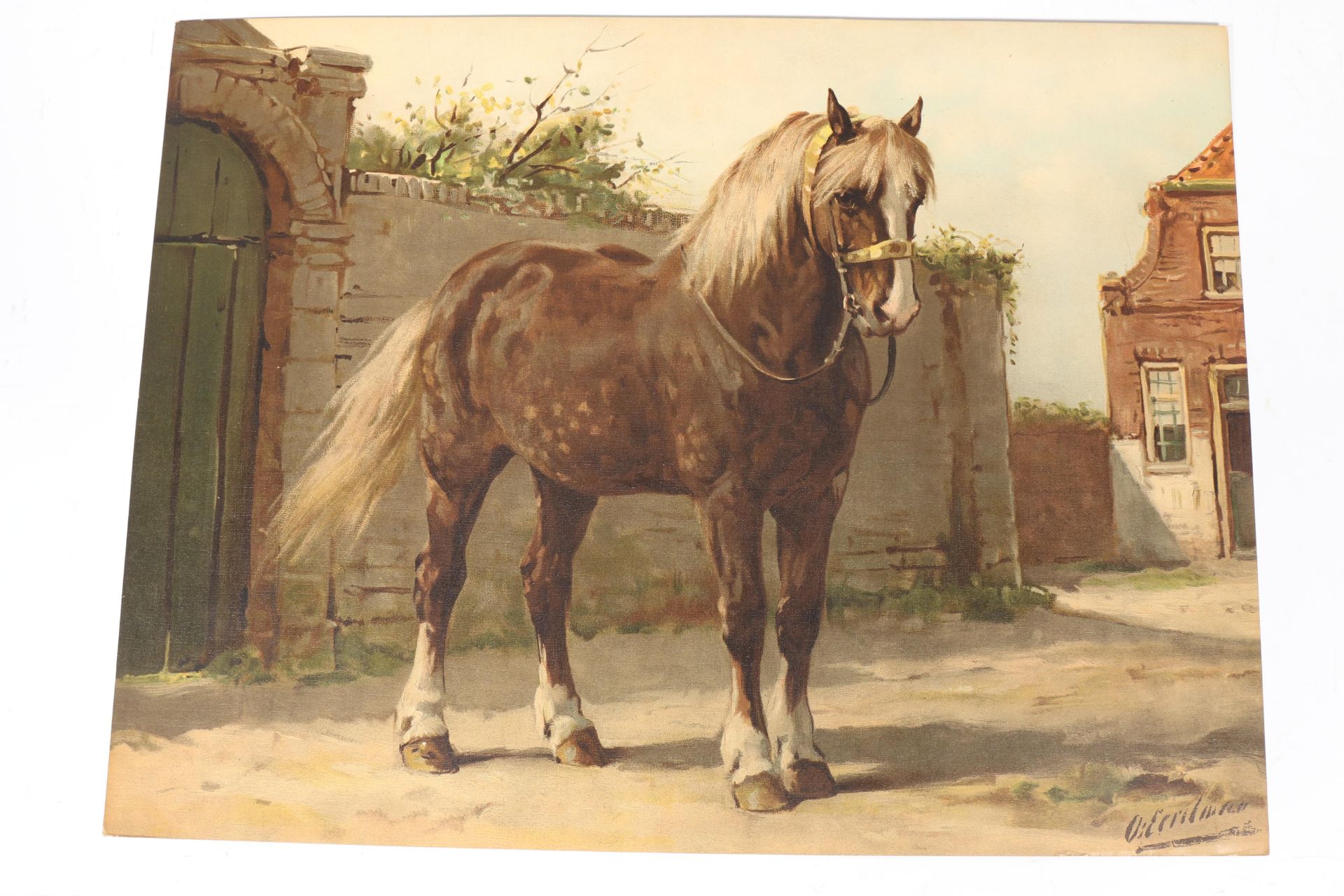 Paardenrassen. Kunstalbum van een en veertig afbeeldingen naar schilderijen van Otto Eerelman met be - Bild 3 aus 4