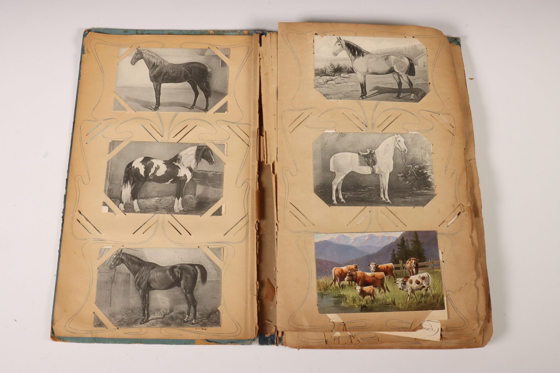 Ca. 1900, album met ansichtkaarten en diverse handschoenen.