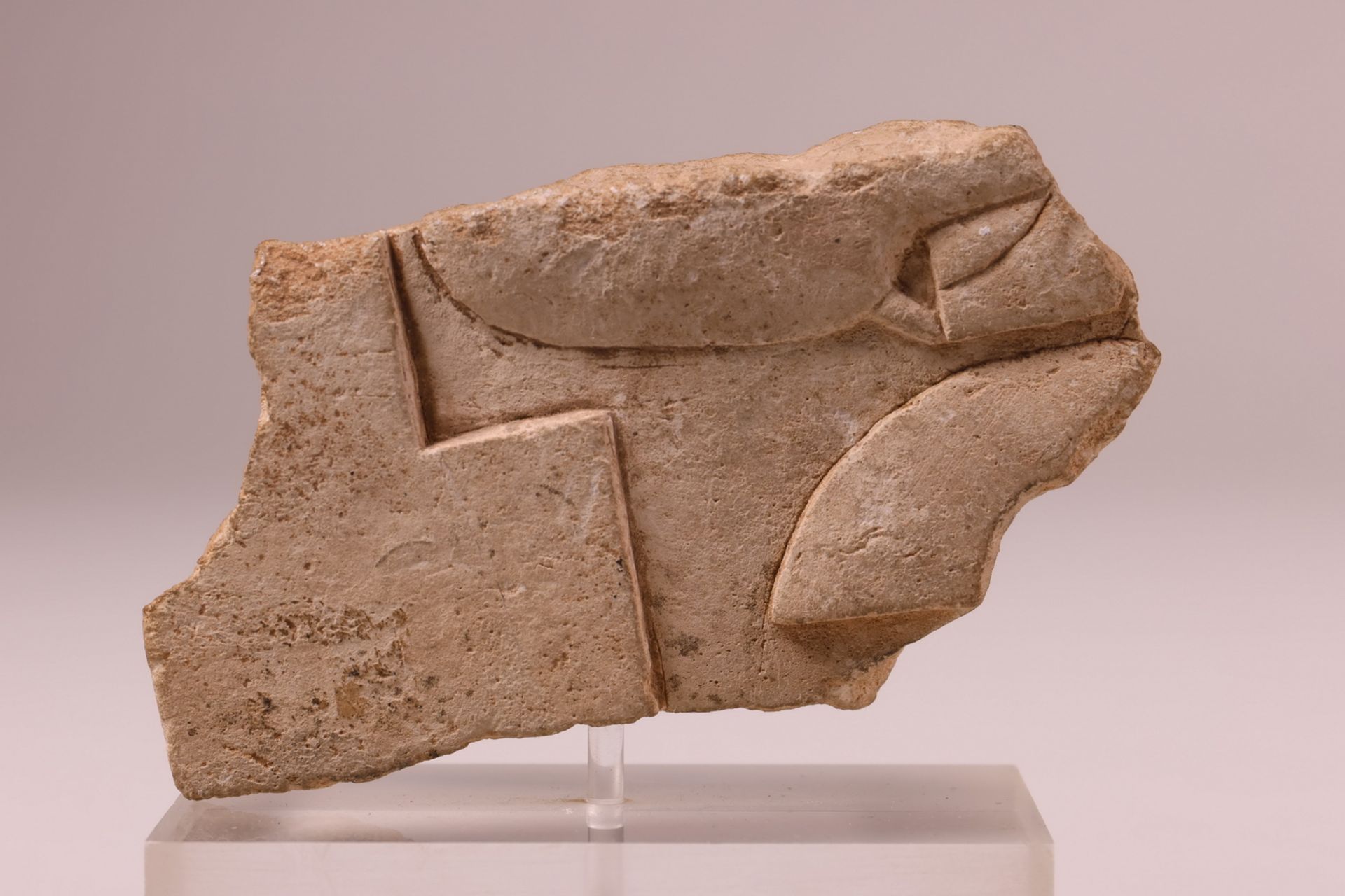 Egypte, limestone study fragment of a plaque, Ptolomeic Period, ca. 350-30 BC - Image 4 of 4