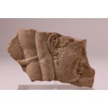 Egypte, limestone study fragment of a plaque, Ptolomeic Period, ca. 350-30 BC