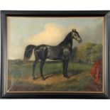 Anonymous, portrait of a horse, canvas ca. 1900