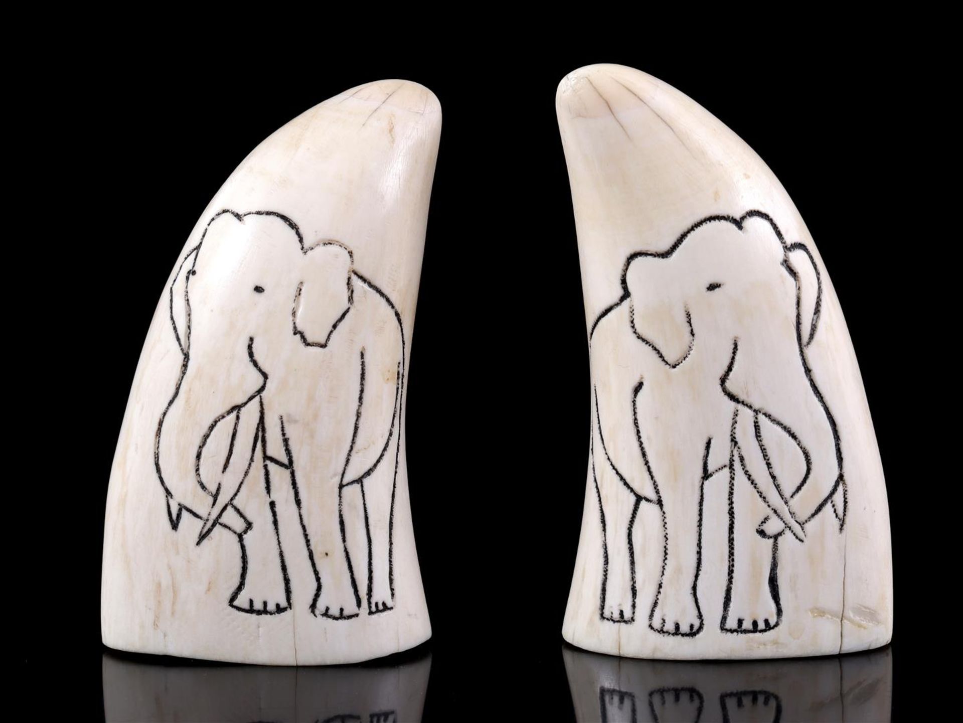 2 sperm whale teeth with engraved decor of elephants