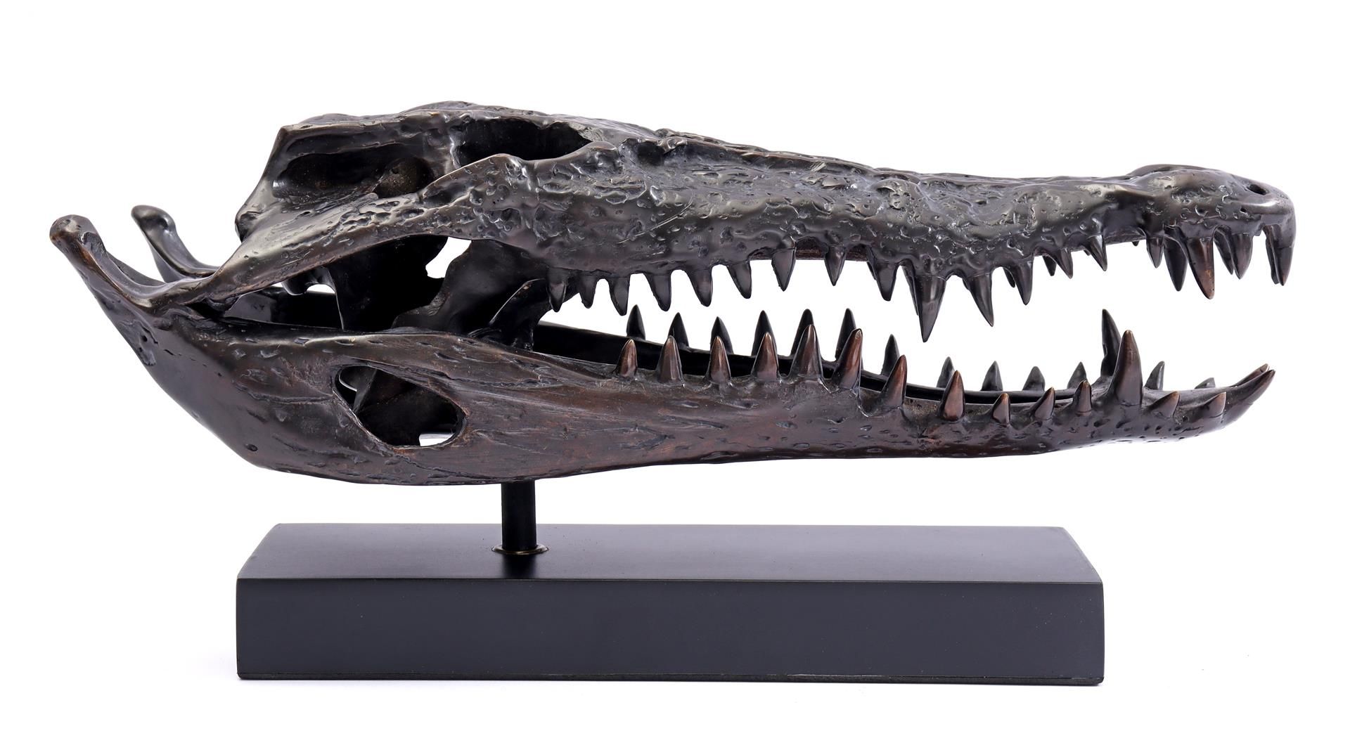 Bronze sculpture of a saltwater crocodile skull 