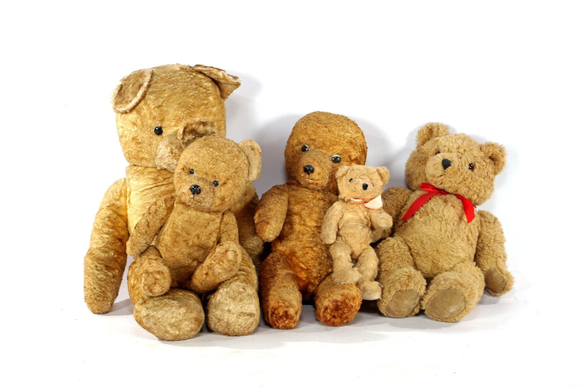 5 various cuddly bears