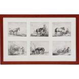 6 engravings with horses