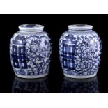 2 porcelain ginger jars