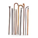 9 various wooden walking sticks