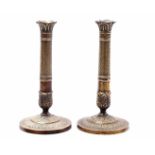 2 bronze ornate candlesticks