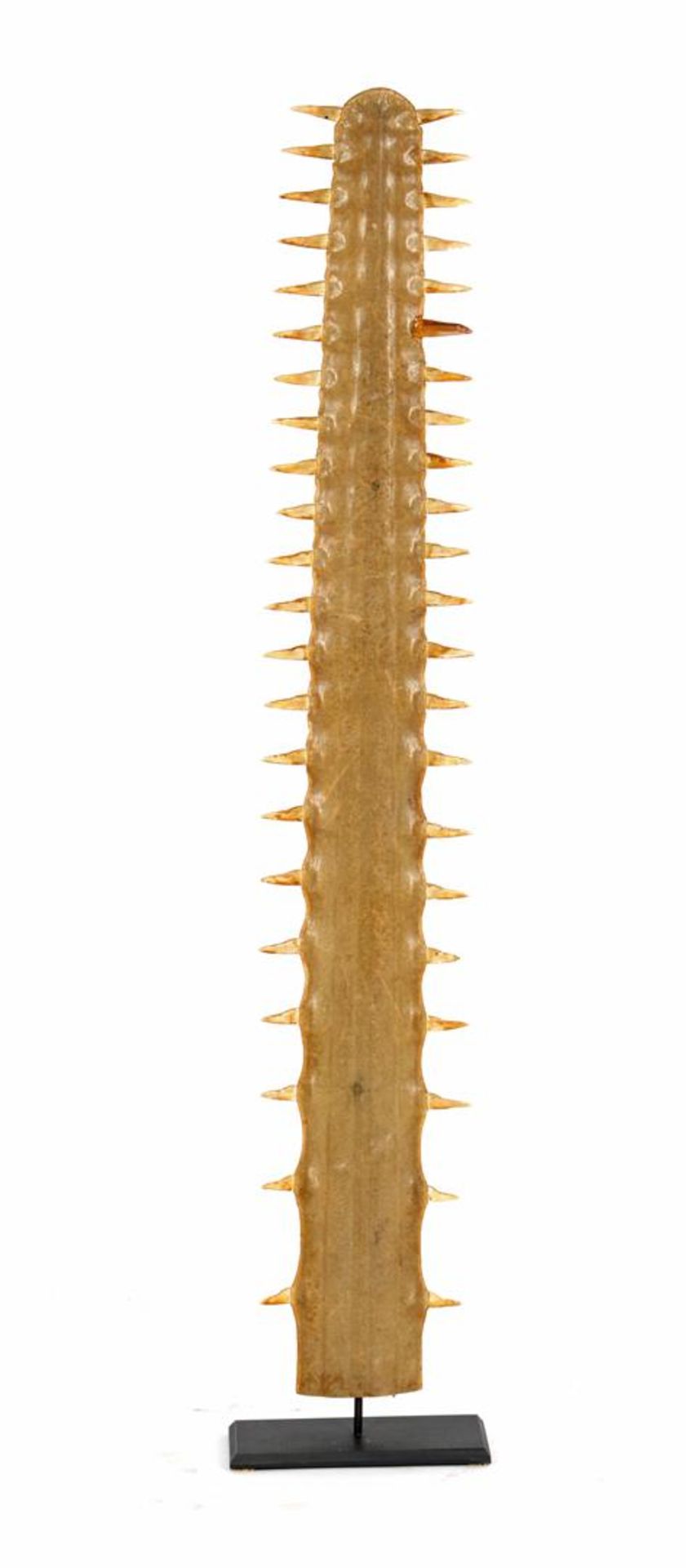 Very nice sawfish tooth - Image 2 of 3