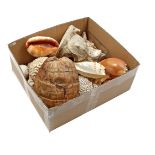 Box various shells