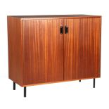 Teak veneer 2-door cabinet