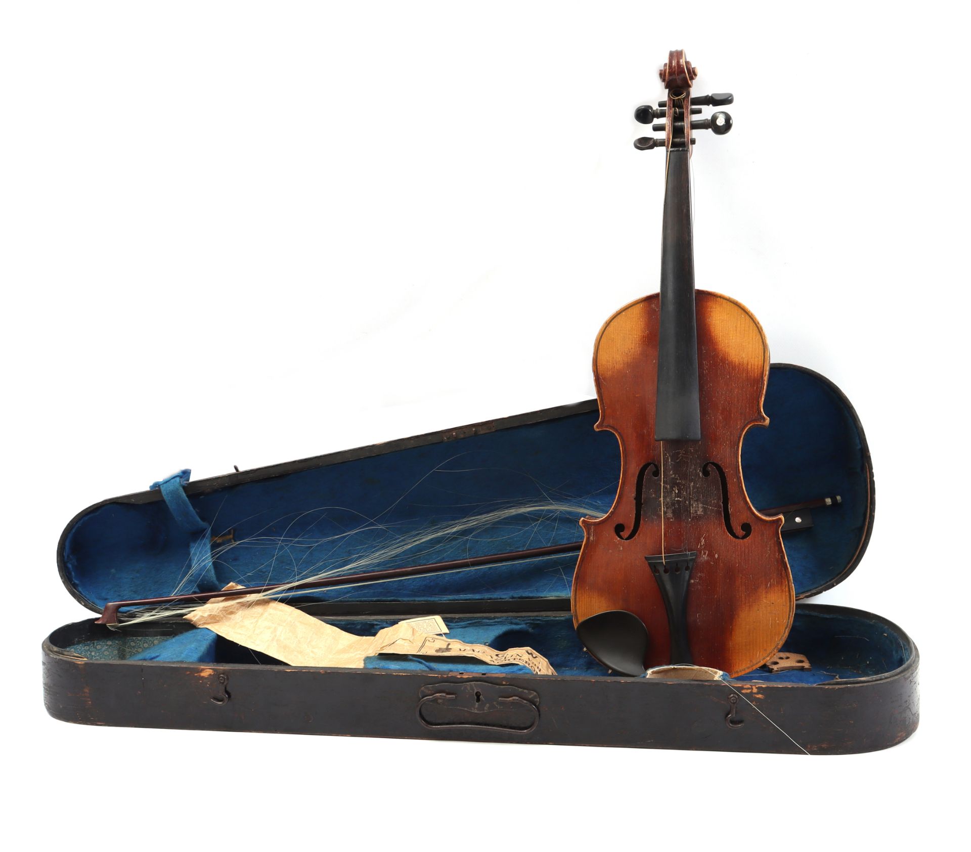 Violin