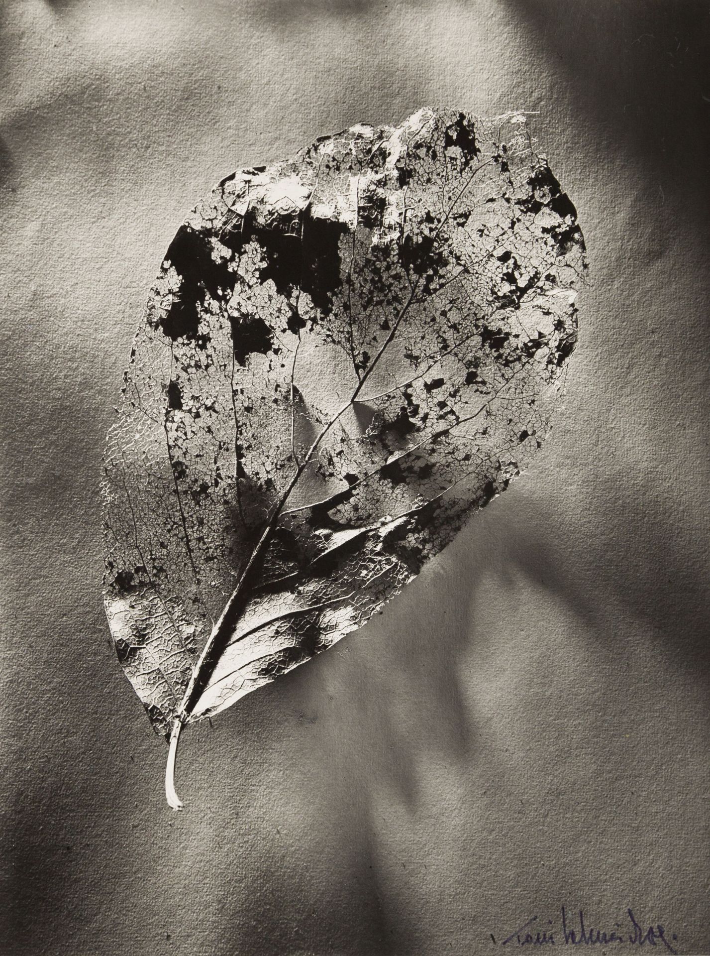 Toni Schneiders, 1920-2006