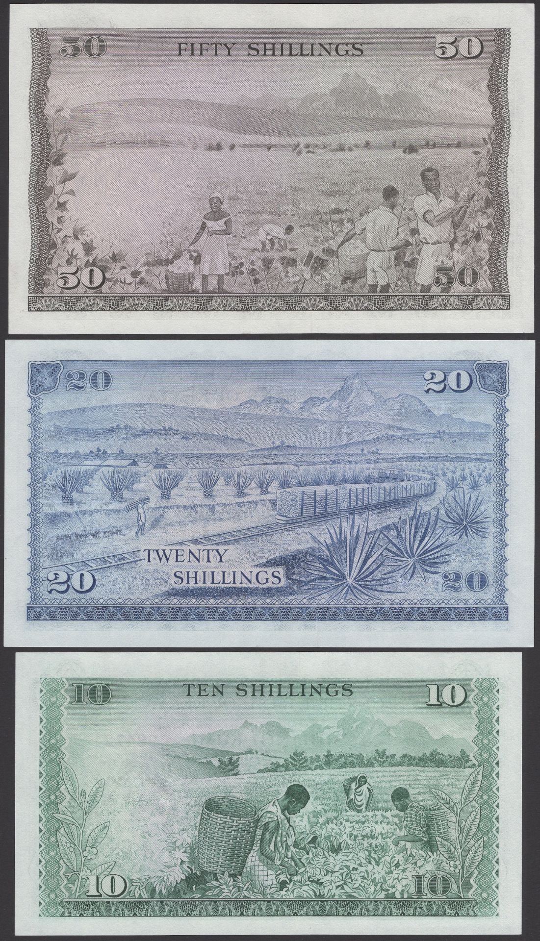 Central Bank of Kenya, 10, 20, 50 and 100 Shillings, 1974, 1973, 1971 and 1972, Ndegwa and N... - Image 4 of 4