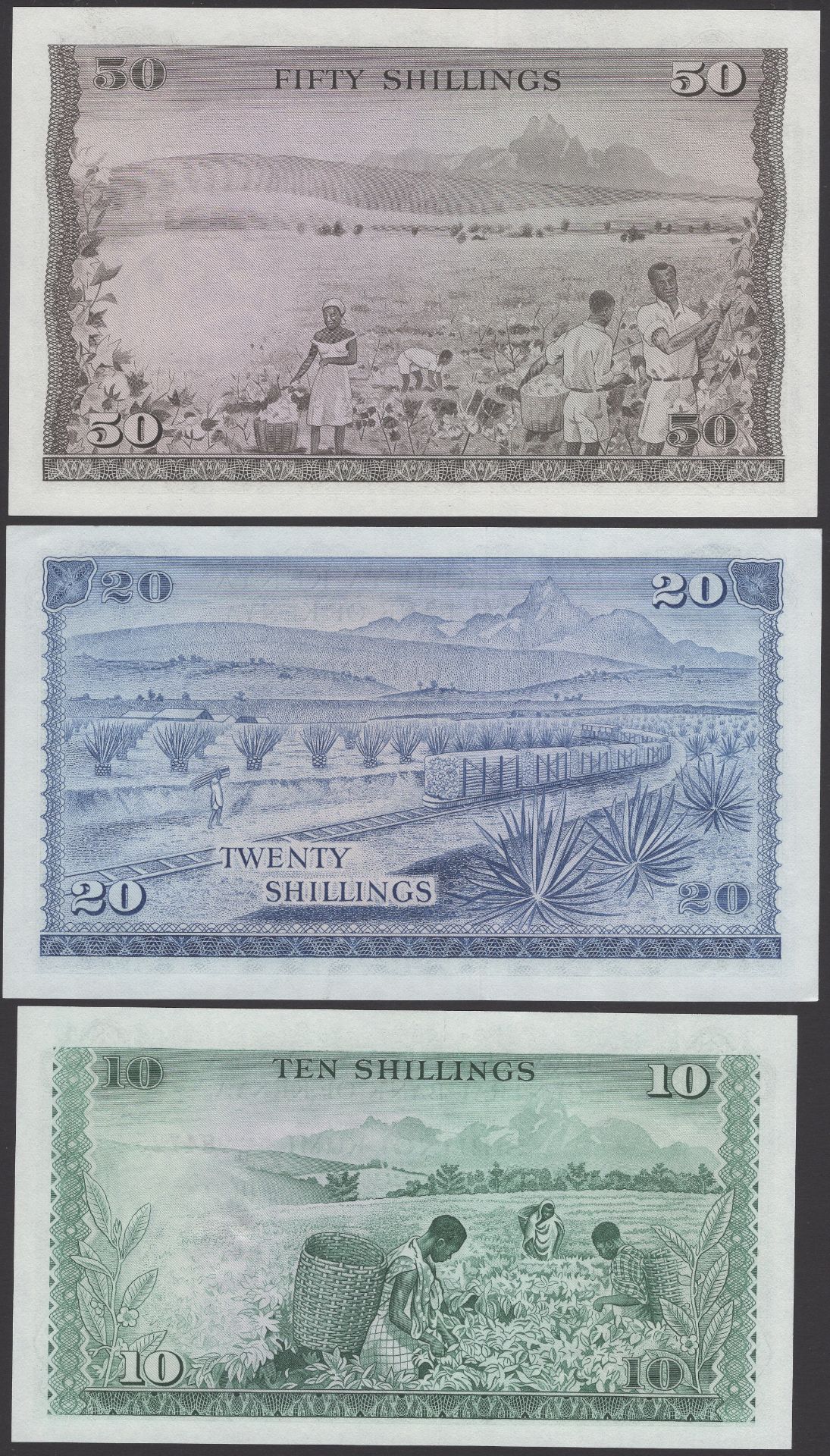 Central Bank of Kenya, 10, 20, 50 and 100 Shillings, 1974, 1973, 1971 and 1972, Ndegwa and N... - Image 4 of 4