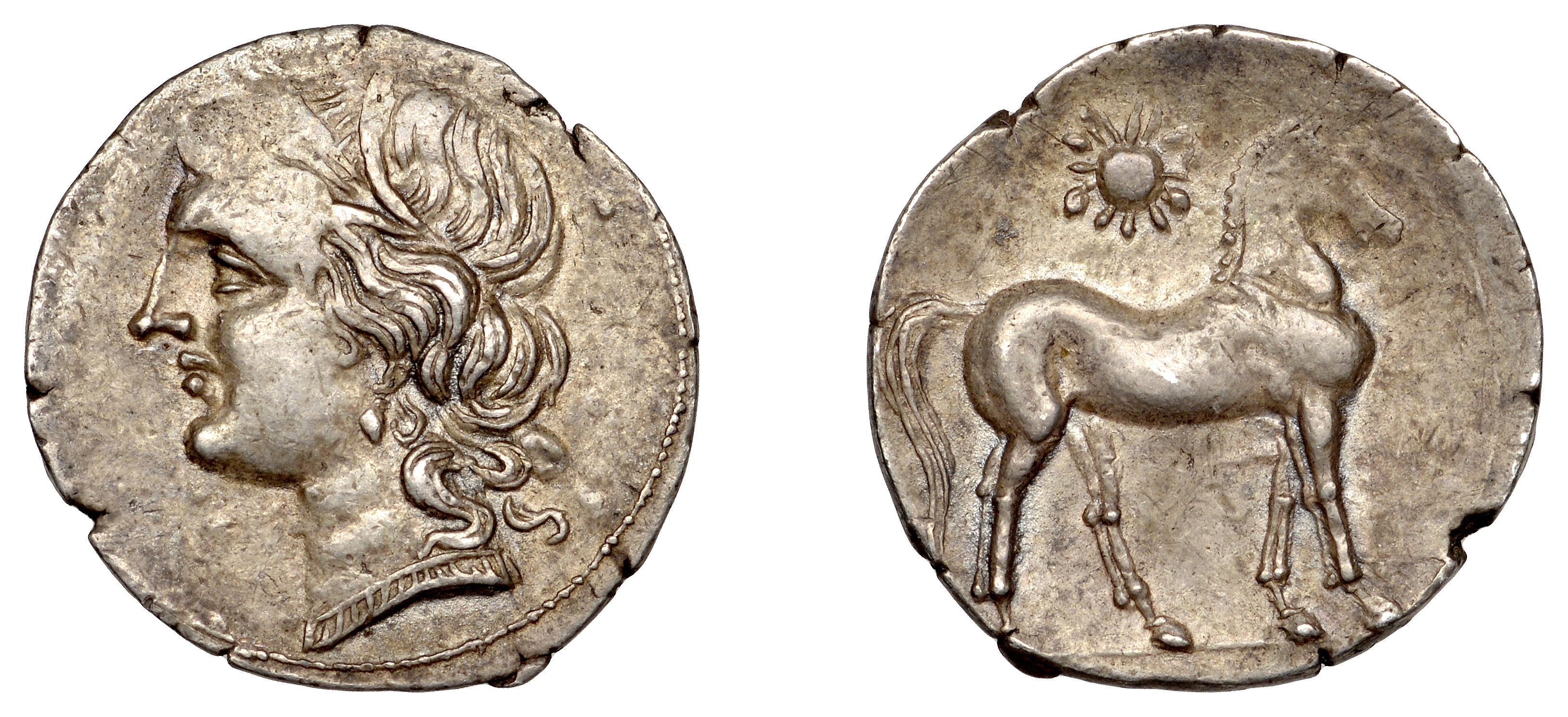 Greek Coinages, Campania, Carthaginian Mint, Half-Shekel, Second Punic War, 216-211, head of...