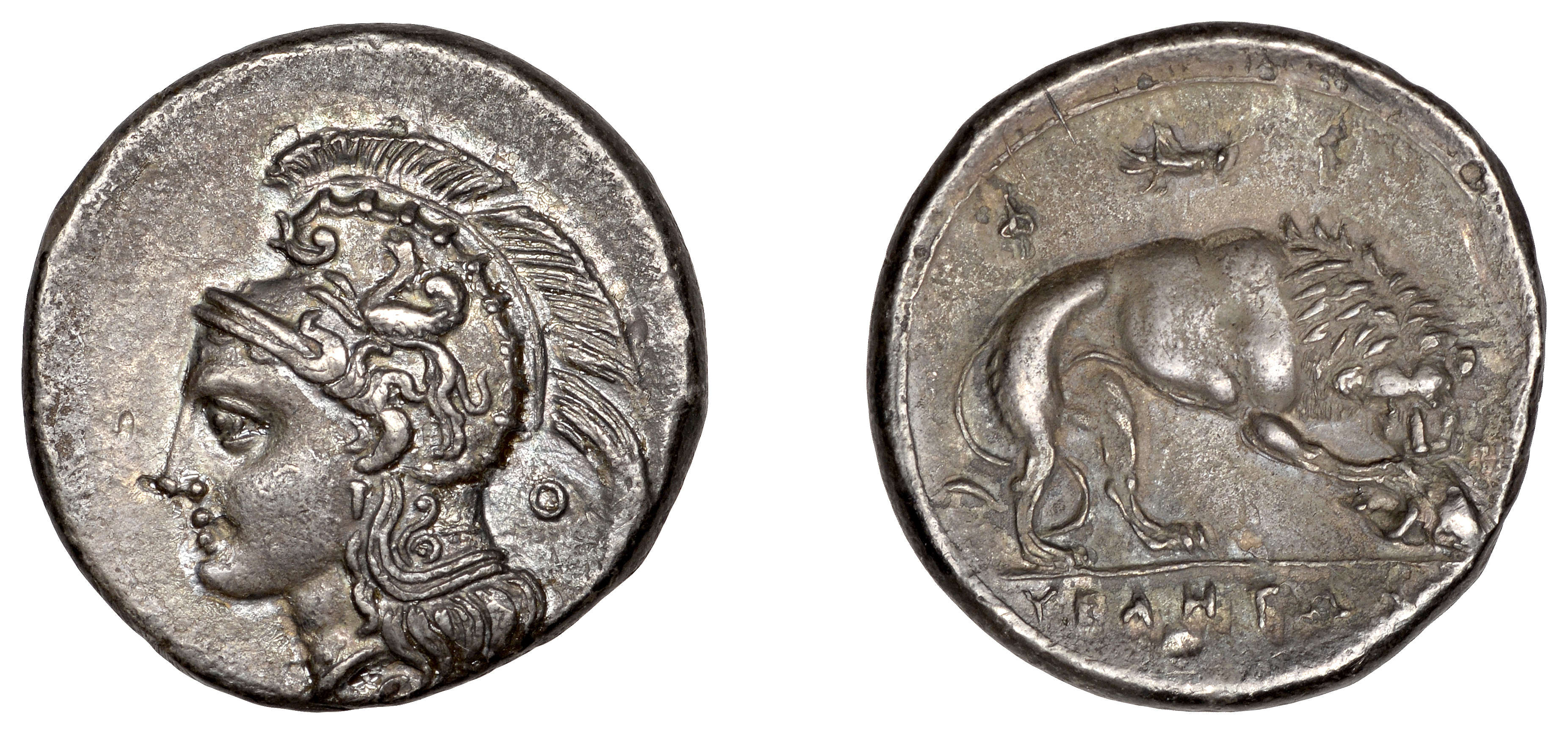 Greek Coinages, Northern Lucania, Velia, Nomos, 300-280, head of Athena facing left, wearing...