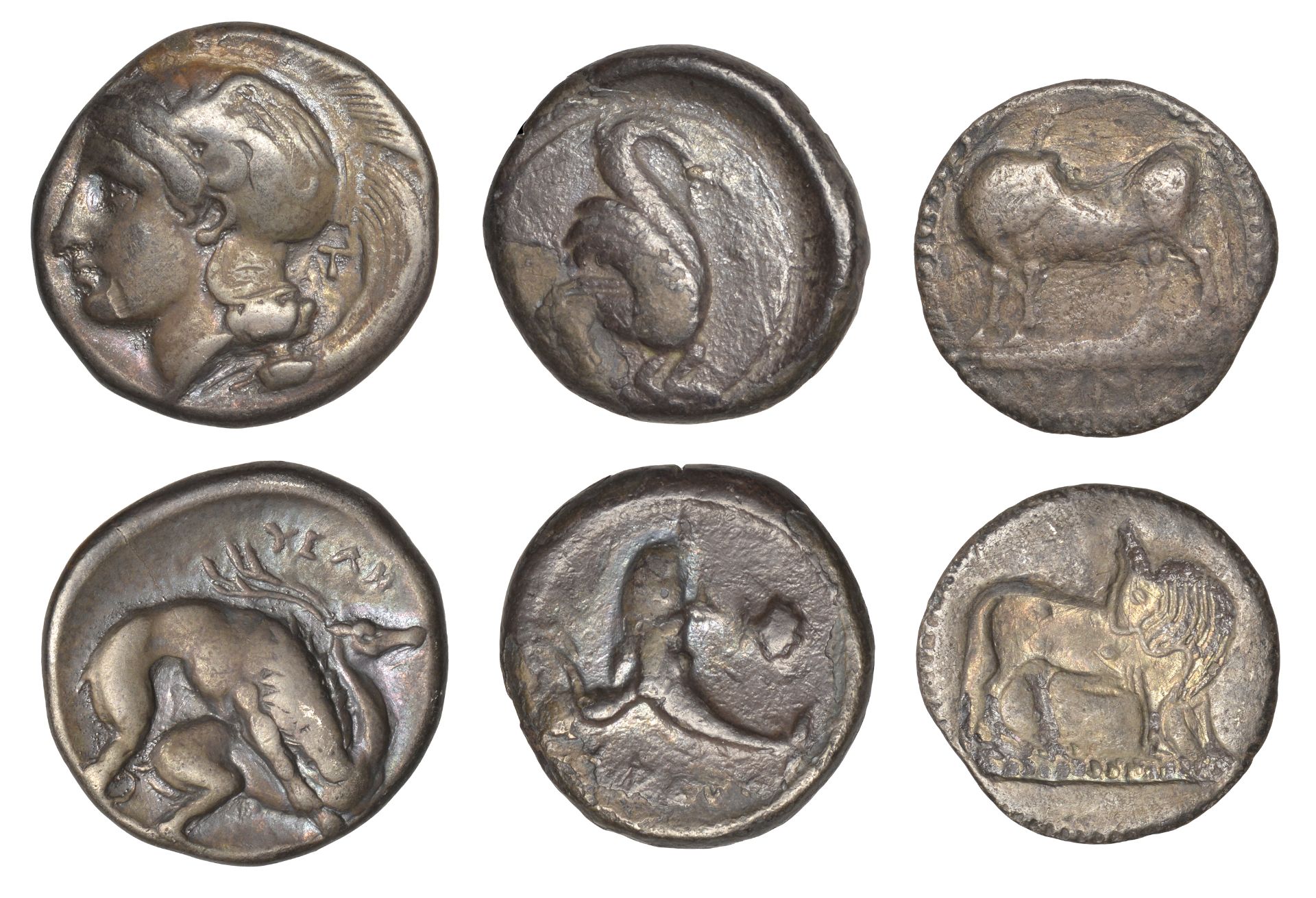 Greek Coinages, Calabria, Tarentum, Nomos, 470-465, dolphin-rider right, arms outstretched,...