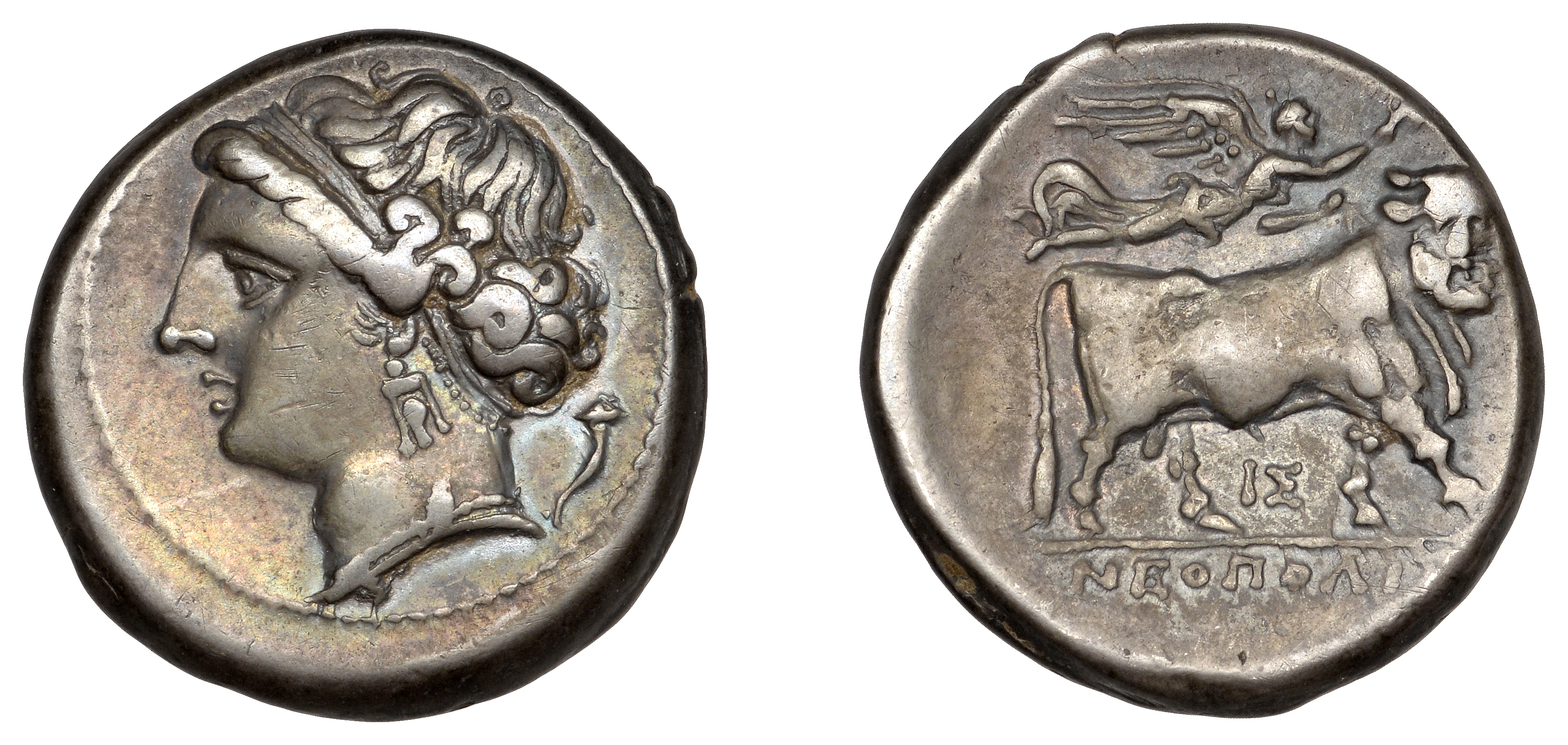 Greek Coinages, Campania, Neapolis, Nomos, 275-250, head of nymph left, cornucopia behind, r...
