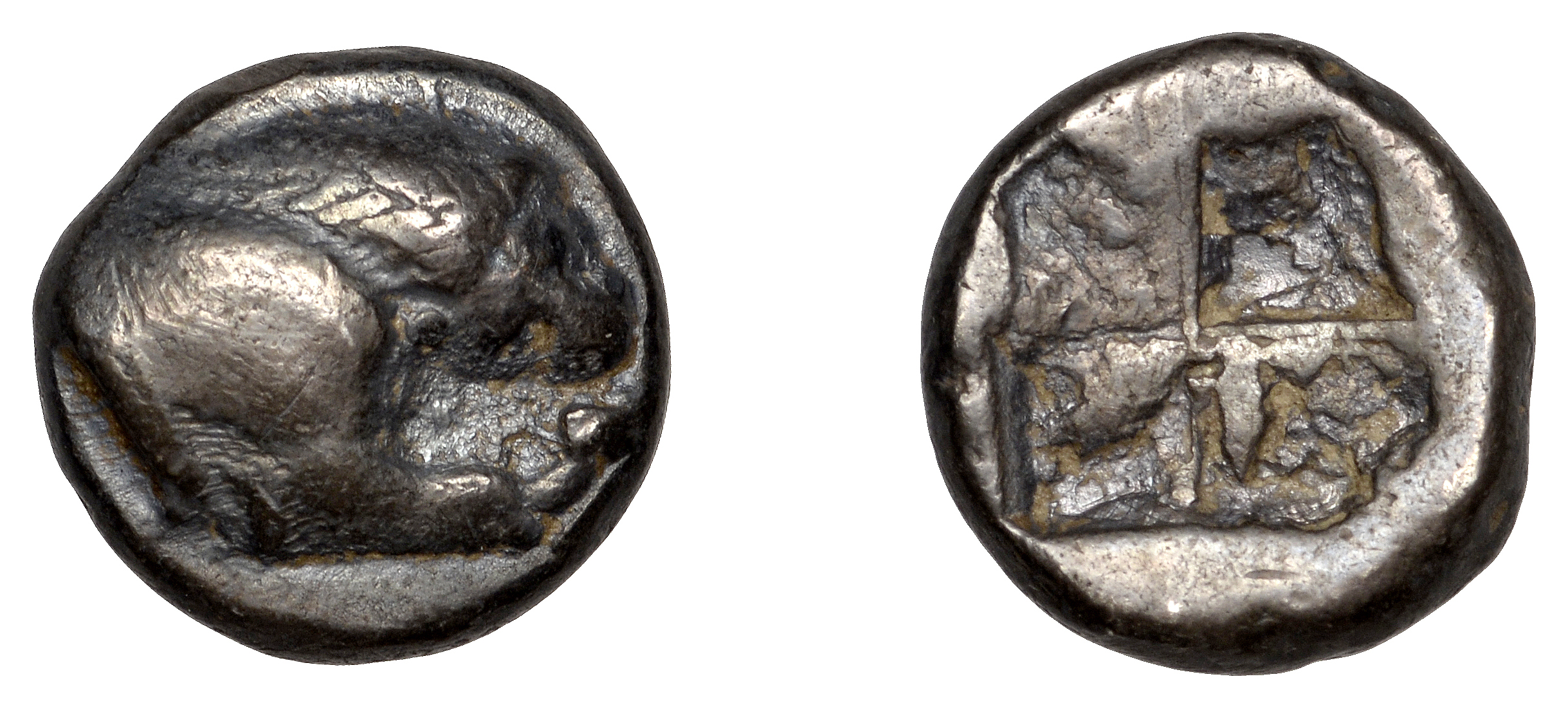 Greek Coinages, Northern Lucania, Velia, Drachm, 535-465, lion right, tearing at prey, rev....