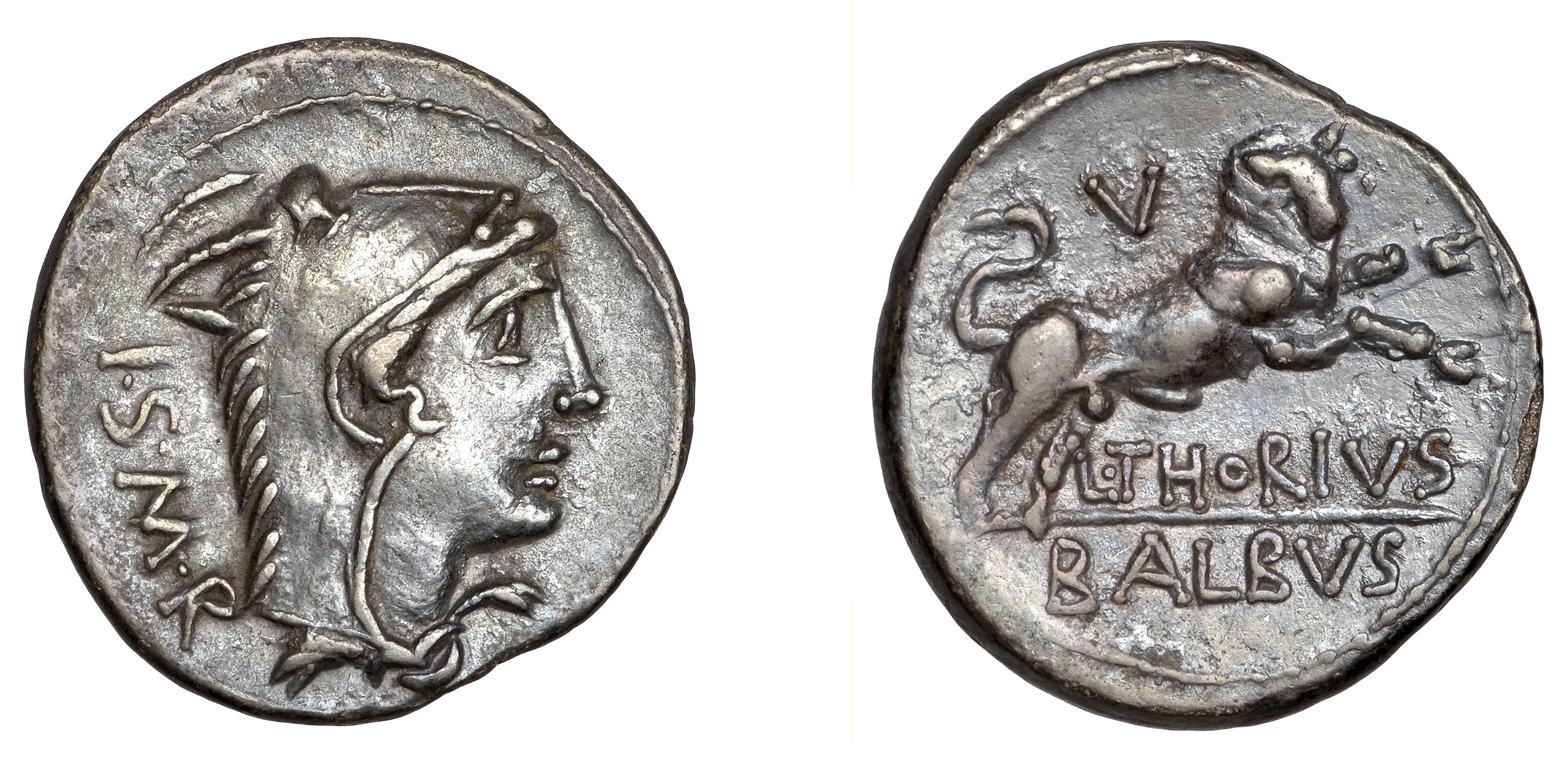 L. Thorius Balbus, Denarius, c. 105, head of Juno Sospita right wearing goat-skin head-dress...