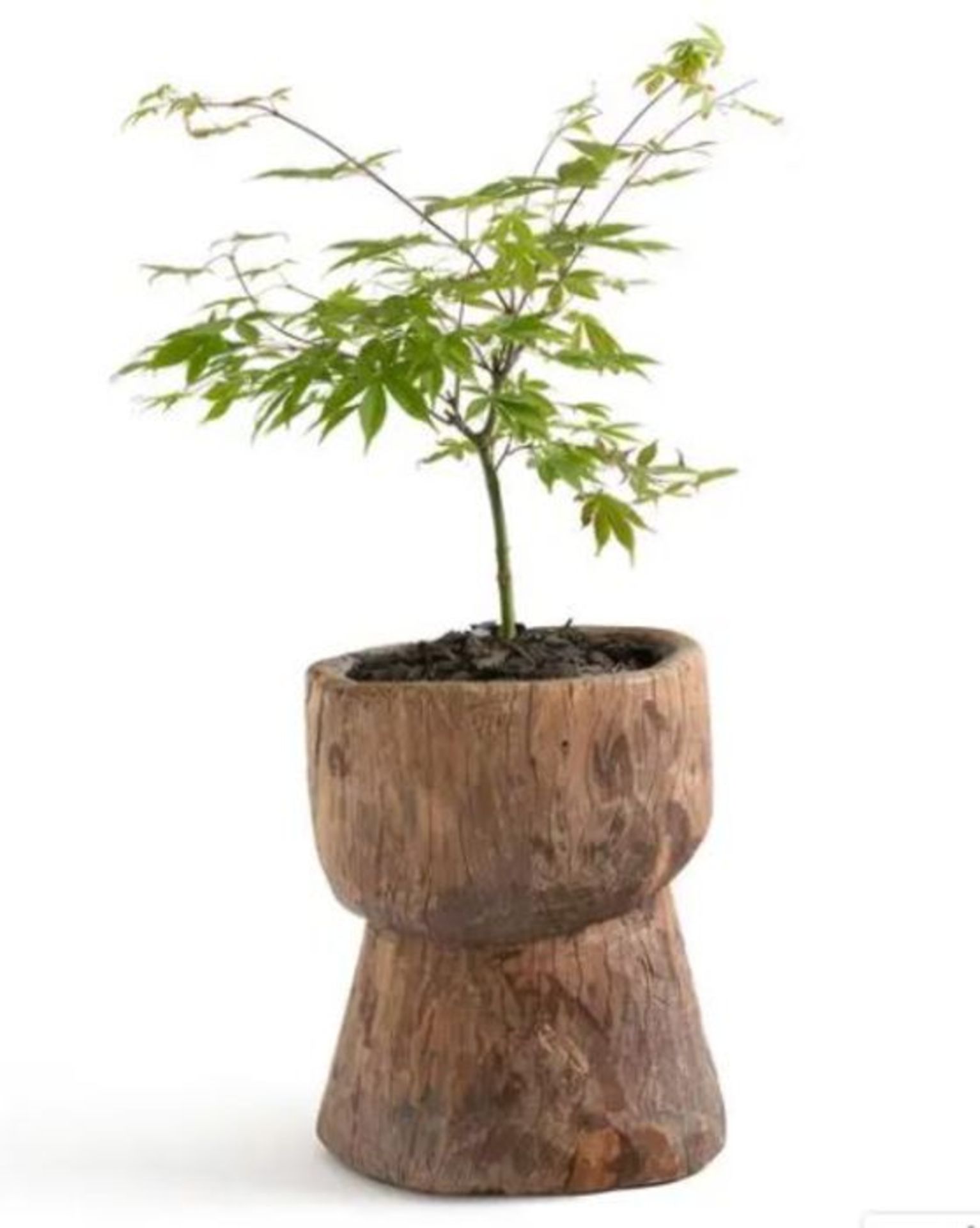 PILLON RECYCLED MANGO WOOD FLOWER POT / RRP £199.00 / CUSTOMER RETURN GRADE A