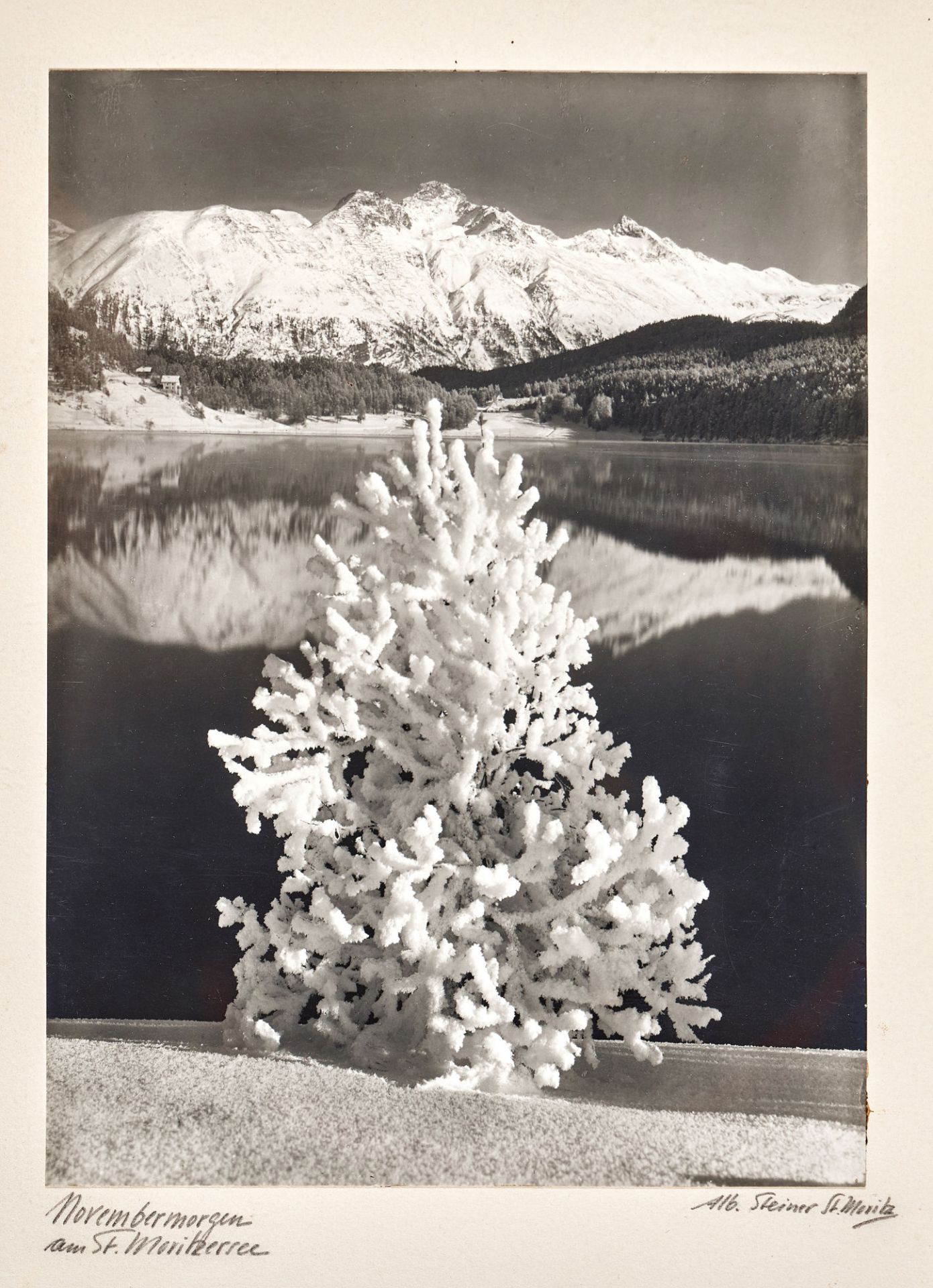 STEINER, ALBERT: "Novembermorgen am St. Moritzersee".