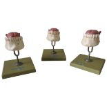 THREE VINTAGE SOMSO ANATOMY MODELS OF HUMAN TONGUES, 14cm high, with storage boxes