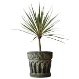 A TAPERED WEATHERED GARDEN PLANTER AND YUCCA PLANT, the planter decorated with medieval design,