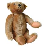 A STEIFF GROWLING TEDDY BEAR, with Steiff button and label attached to left ear, height 50cm