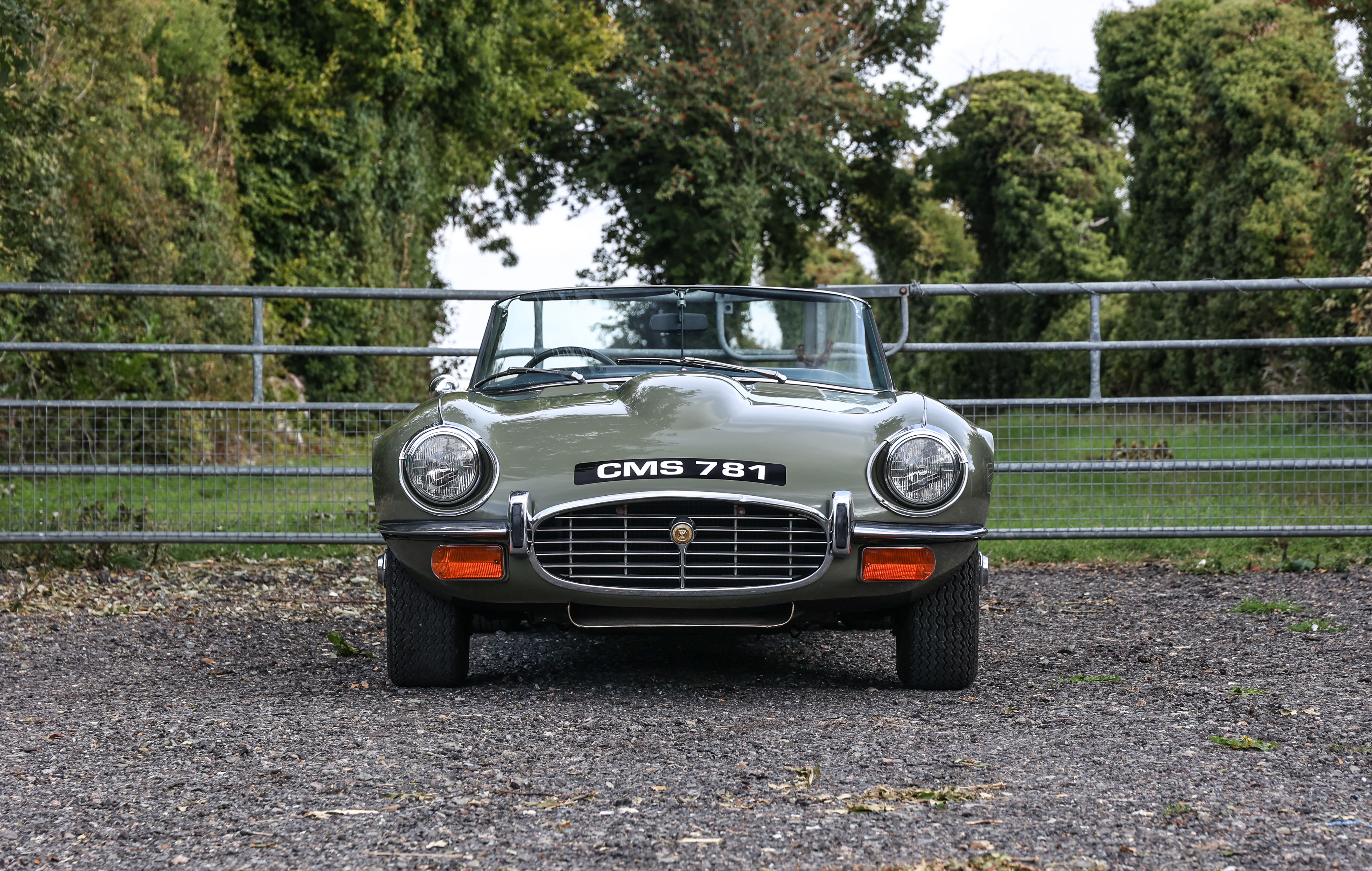 1973 JAGUAR E-TYPE SERIES III ROADSTER Registration Number: CMS 781 Chassis Number: 1S1868 - Image 11 of 22
