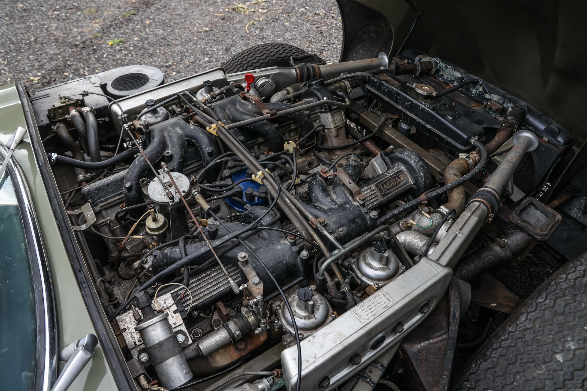 1973 JAGUAR E-TYPE SERIES III ROADSTER Registration Number: CMS 781 Chassis Number: 1S1868 - Image 8 of 22