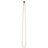 Zuchtperlenkette, Perlen mit einem Durchmesser von ca. 4,6 mm und dekorativer Schließe. 925 Silber 2
