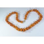 Amber bead necklace, circumference 510mm, 31.19 grams