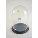 Glass taxidermy dome with base, height 35cm, dia. approx. 22cm