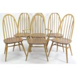 6 Ercol Windsor Quaker dining chairs. 5x model 365 1x model 365a. w61cm d55cm overall height 97cm. S