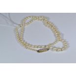 Pearl necklace with 18ct gold clasp set with four diamonds, circumference 460mm