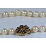 Pearl necklace with a 9ct gold & sapphire clasp, circumference 360mm