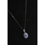 14ct white gold, tanzanite & diamond cluster pendant & chain, pendant length including bale 21mm, ch