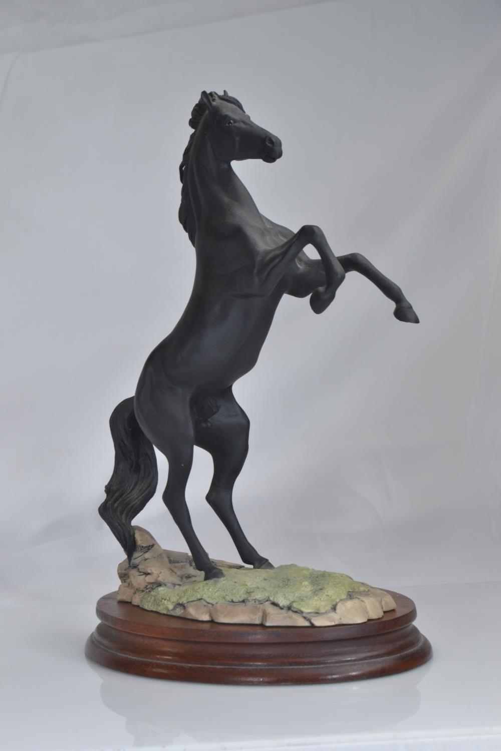 Border Fine Arts 'Rearing Black Stallion', limited edition 1707 of 3500 with certificate of authenti - Image 3 of 4