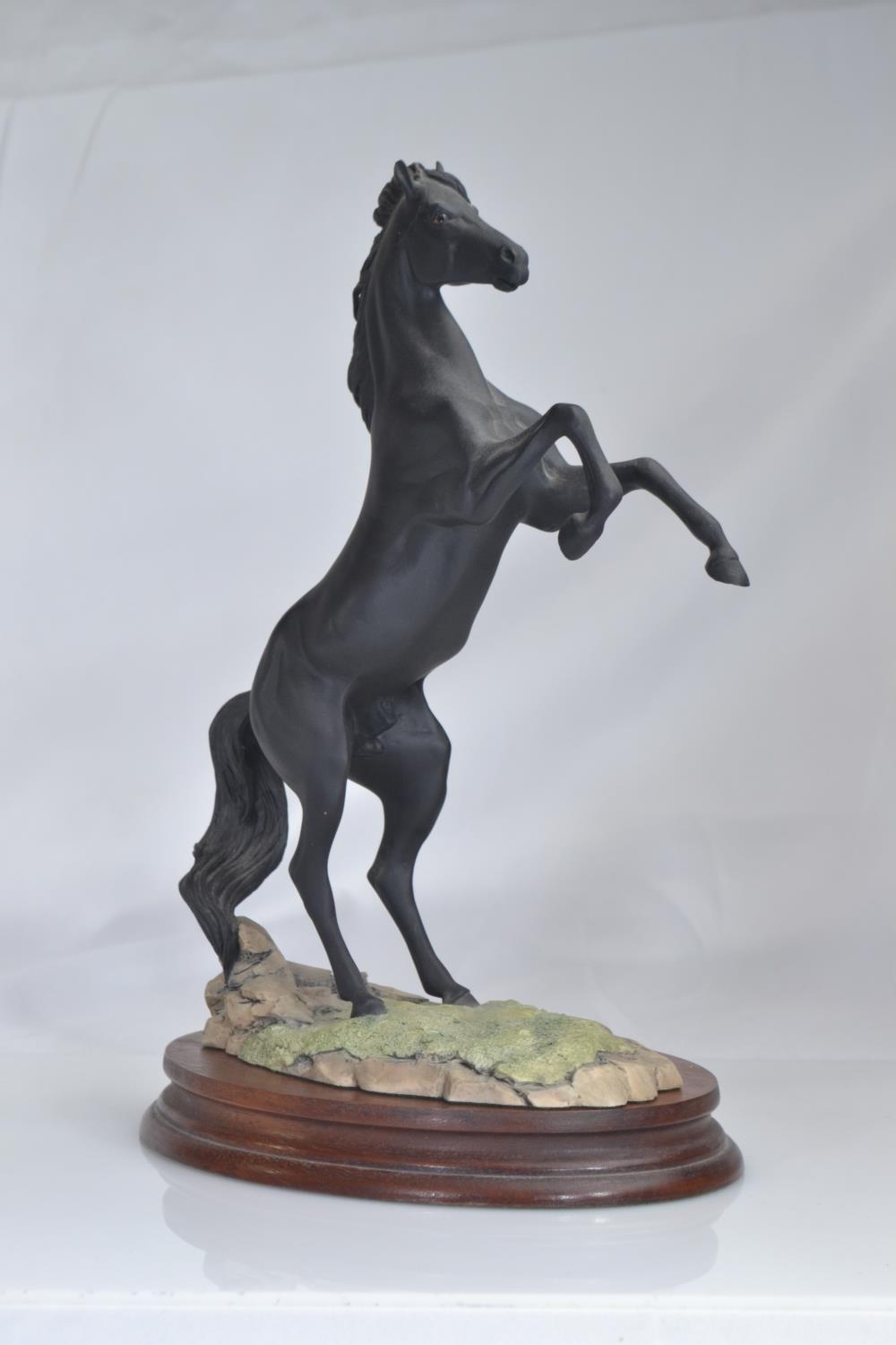 Border Fine Arts 'Rearing Black Stallion', limited edition 1707 of 3500 with certificate of authenti - Image 2 of 4