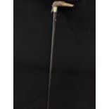 Walking cane with carved horn handle in the form of a lurcher