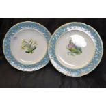 Pair of Minton cabinet plates, late 19th century, each painted to the centre with a flower within a