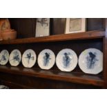 Six Brown, Westhead & Moor Depouse Canova bird plates