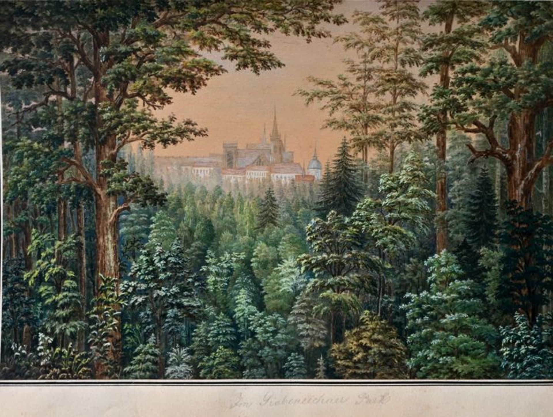 Georgi, Schlossblick / Georgi, View onto a castle