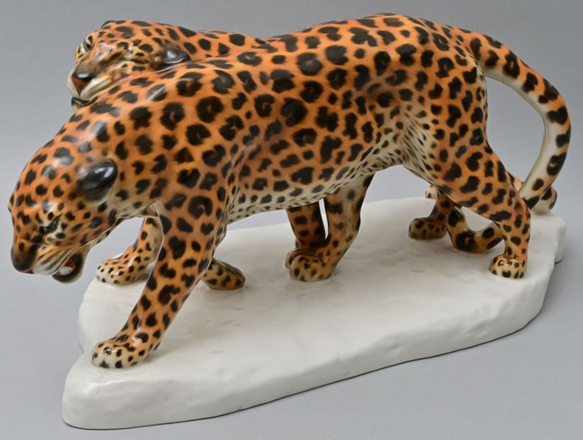 Leoparden/ leopards - Image 2 of 8